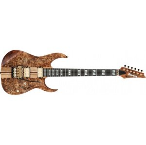 Ibanez RGT1220PB Antique Brown Stained
