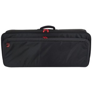 D'Addario BACKLINE PB TRANSPORT PACK 2