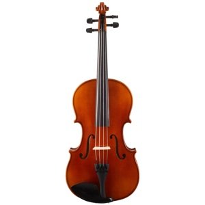 Bacio Instruments AA50 Concert Viola 16