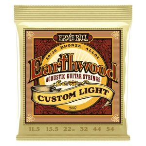 Ernie Ball 2007 Earthwood 80/20 Bronze Strings Custom Light