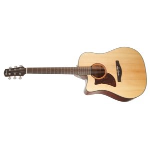Ibanez AAD170LCES Natural