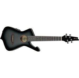 Ibanez UICT10 Metallic Gray Sunburst