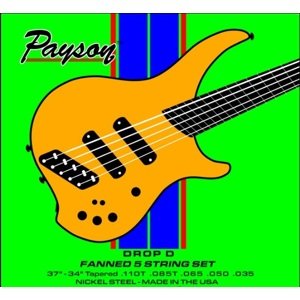 Payson Fanned NS 5 Drop D