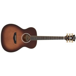 D'Angelico Tammany Orchestra E Autumn Burst