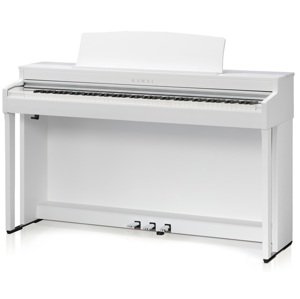 Kawai CN301W
