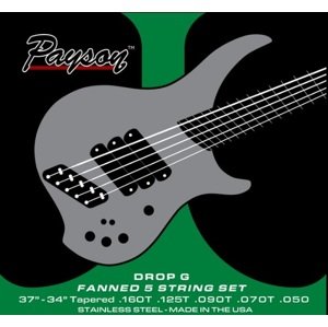 Payson Fanned SS 5 Drop G