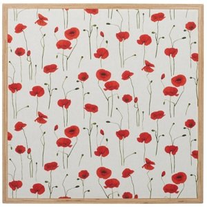 Razzor Acoustics Acoustic frame - Poppies in a light frame 600x600