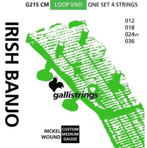 Galli G215 CM Irish Banjo 4-String Tenor Custom Medium