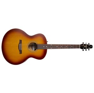 Seagull Entourage Mini Jumbo Rustic Burst
