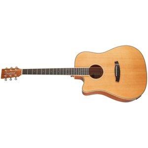 Tanglewood TW5 CE NA LH