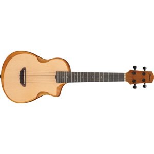 Ibanez AUT10 Natural