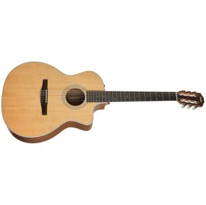 Taylor 214ce-N