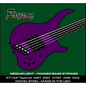 Payson Fanned NS 5 ML set