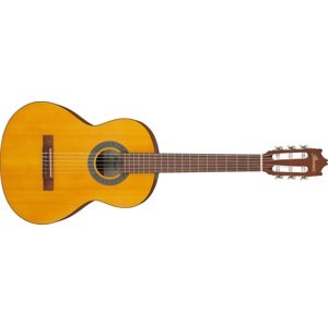 Ibanez GA2 Amber