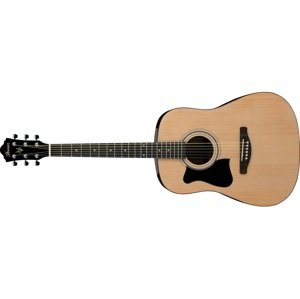 Ibanez V50NLJP Natural