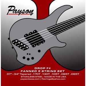 Payson Fanned SS 5 Drop F#