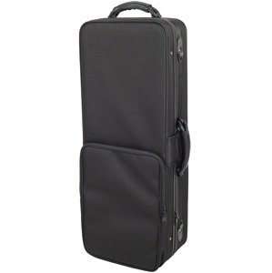 Bacio Instruments BTSC200