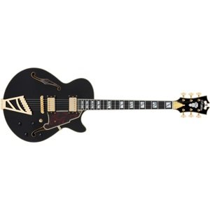 D'Angelico Excel SS Black
