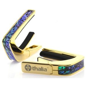 Thalia Shell Collection Blue Abalone Gold