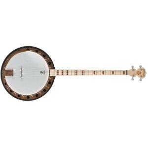 Deering Goodtime Two Plectrum