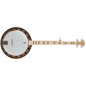 Deering Goodtime Special 5-String with Resonator