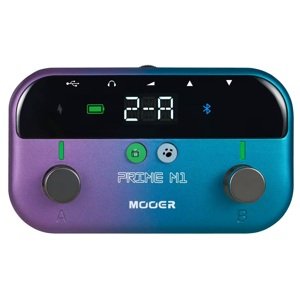 Mooer Prime Minimax M1