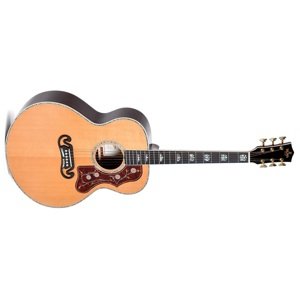 Sigma Guitars GJR-SG300