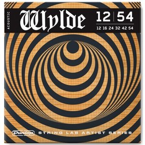 Dunlop Zakk Wylde Acoustic 12-54