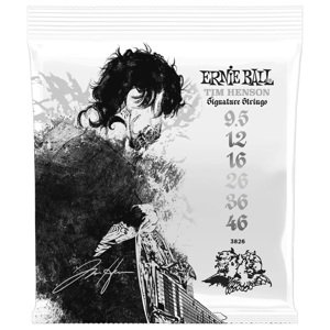 Ernie Ball Tim Henson Signature Electric 9.5-46