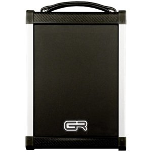 GR Guitar BF Acoustic 6