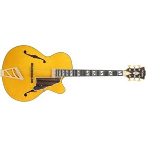 D'Angelico Excel 16 Amber