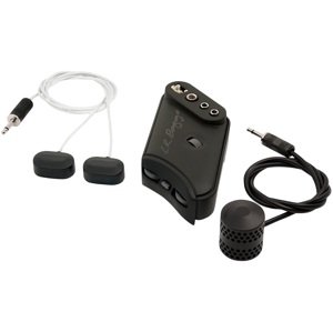 L.R. Baggs HiFi Duet