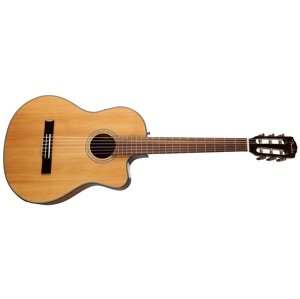 Fender CN-140SCE Nylon WN NT (použité)