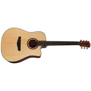 Cascha CGA200 Stage Series Dreadnought Acoustic Guitar Set (použité)