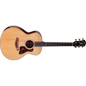 Taylor Gold Label 514e