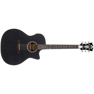 D'Angelico Premier Gramercy LS Black Top (rozbalené)