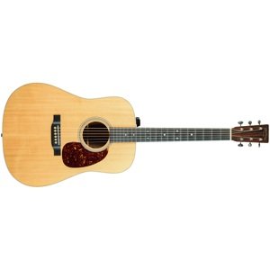 Martin 2018 D-16