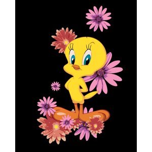 Zuty Maľovanie podľa čísel Tweety a ružové kvetiny (Looney Tunes)