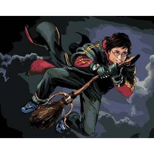 Zuty Maľovanie podľa čísel Harry Potter Na metle