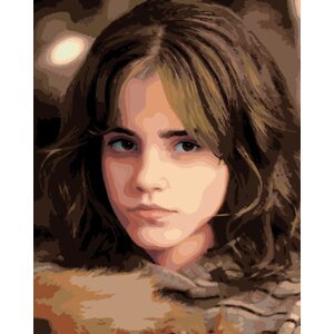 Zuty Maľovanie podľa čísel Portrét Hermiony s prísnym pohľadom (Harry Potter)